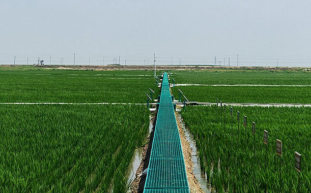 如何判斷煙臺(tái)自封袋是否合格